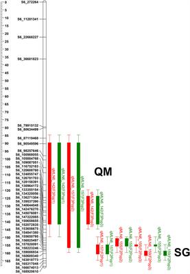 Discovery and Validation of a Recessively Inherited Major-Effect QTL Conferring Resistance to Maize Lethal Necrosis (MLN) Disease